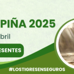 FERIA DE LA PIÑA 2025